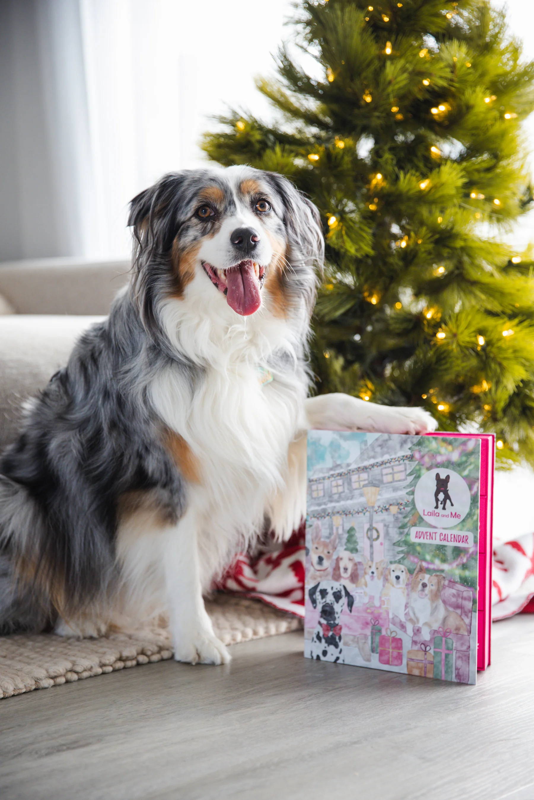 Dog Advent Calendar 2024 I Aussie Made I Human Grade Natural Pet